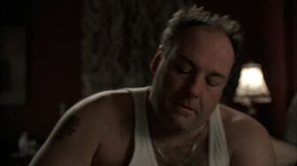 Th3 Sopr4nos S05311 1080p BluR4y x265-R4RBG SQ