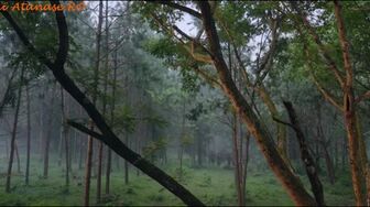 Cei 9 mistici Ep16