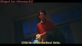 Sotia asasin 12