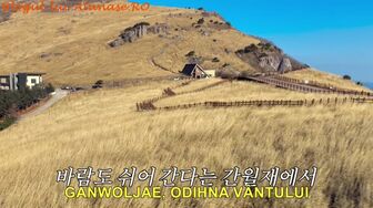 Hai pe munte 8