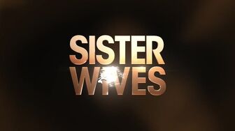 Sister Wives S21E01-HDTV-X264-NGP
